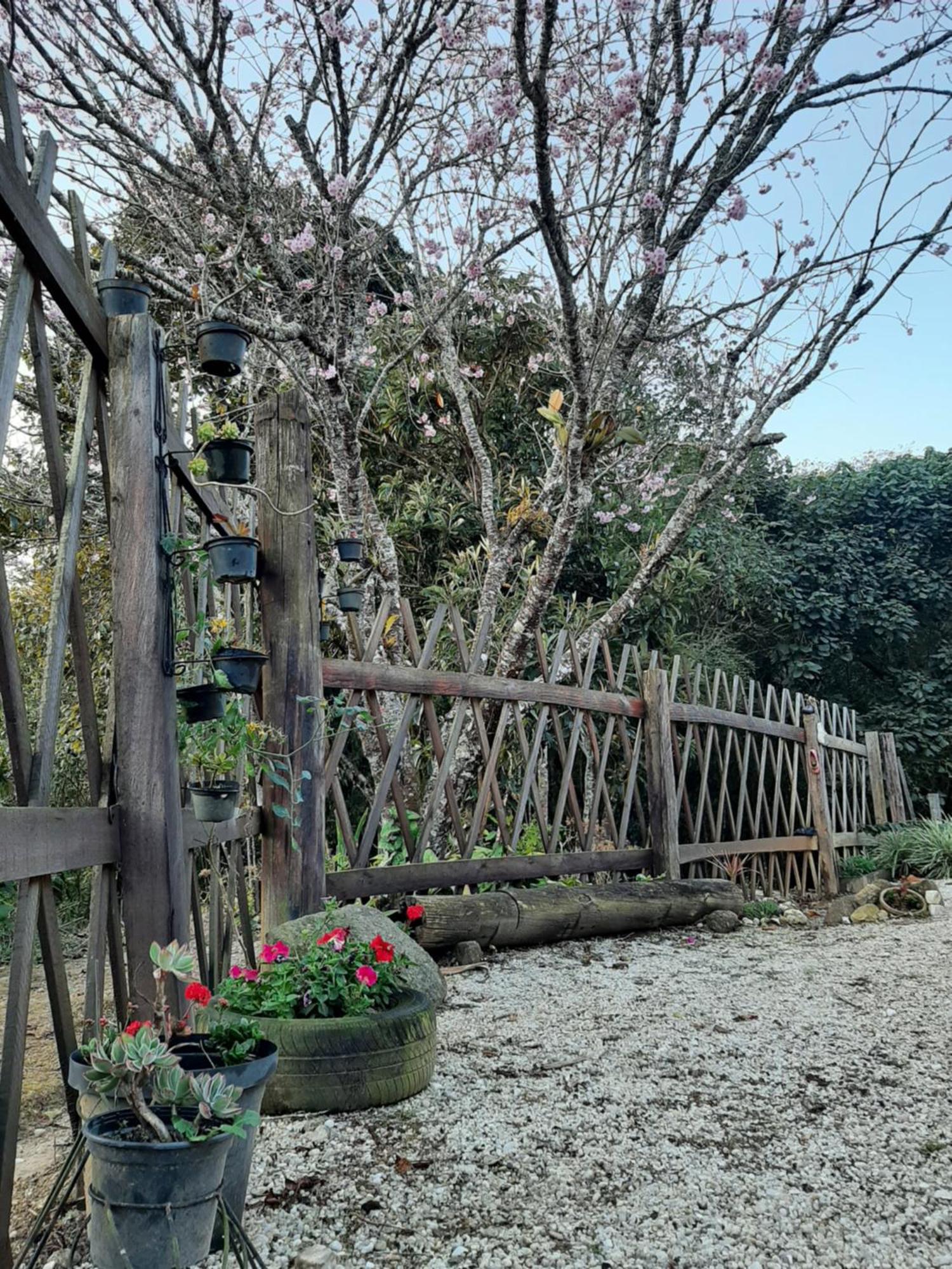 Villa Casa Kiiro, Um Ambiente Tranquilo E De Sossego. Santo Antônio do Pinhal Exterior foto